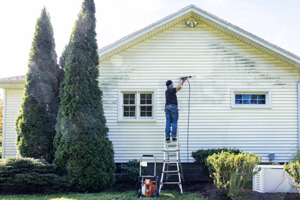 Best Window and Screen Pressure Cleaning in Clearfield, PA